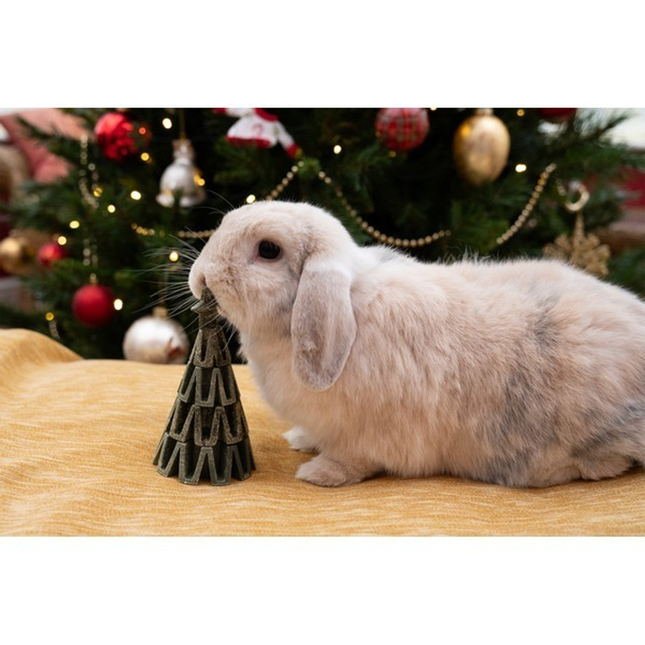 Christmas for Small Animals