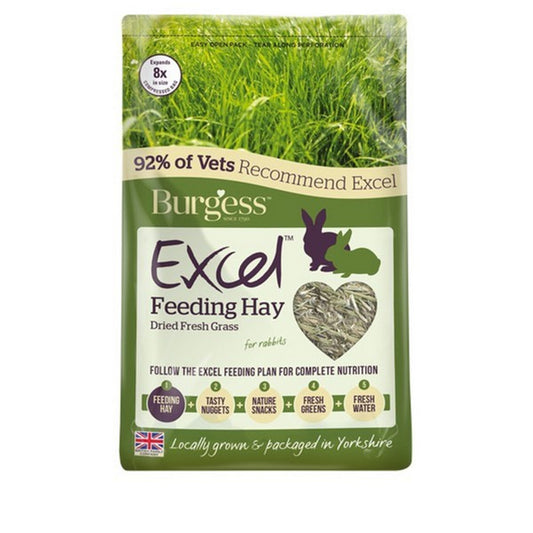 Burgess Excel Feeding Hay Fresh 1kg