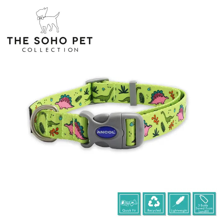 Soho Dinosaur Collar