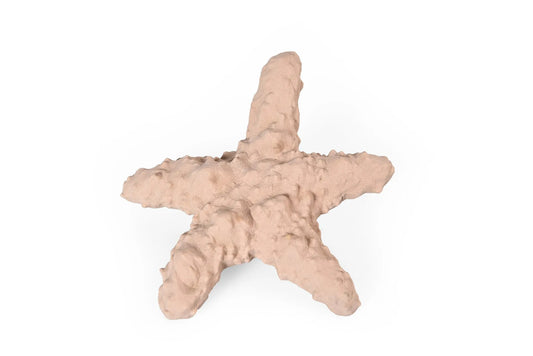 Recycled Rubber Starfish Dog Toy