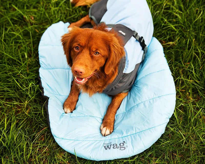 Henry Wag Alpine Travel Bed