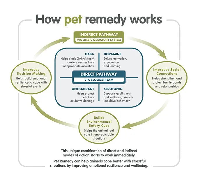 Pet Remedy Calming Wipes Pack