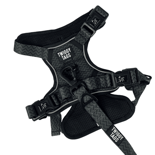 Twiggy Tags Petrichor Adventure Harness